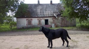 verfallener ehemaliger Dorfladen in Lubeja
